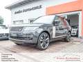 Land Rover Range Rover D350 Fifty*Standheizung* Grau - thumbnail 1