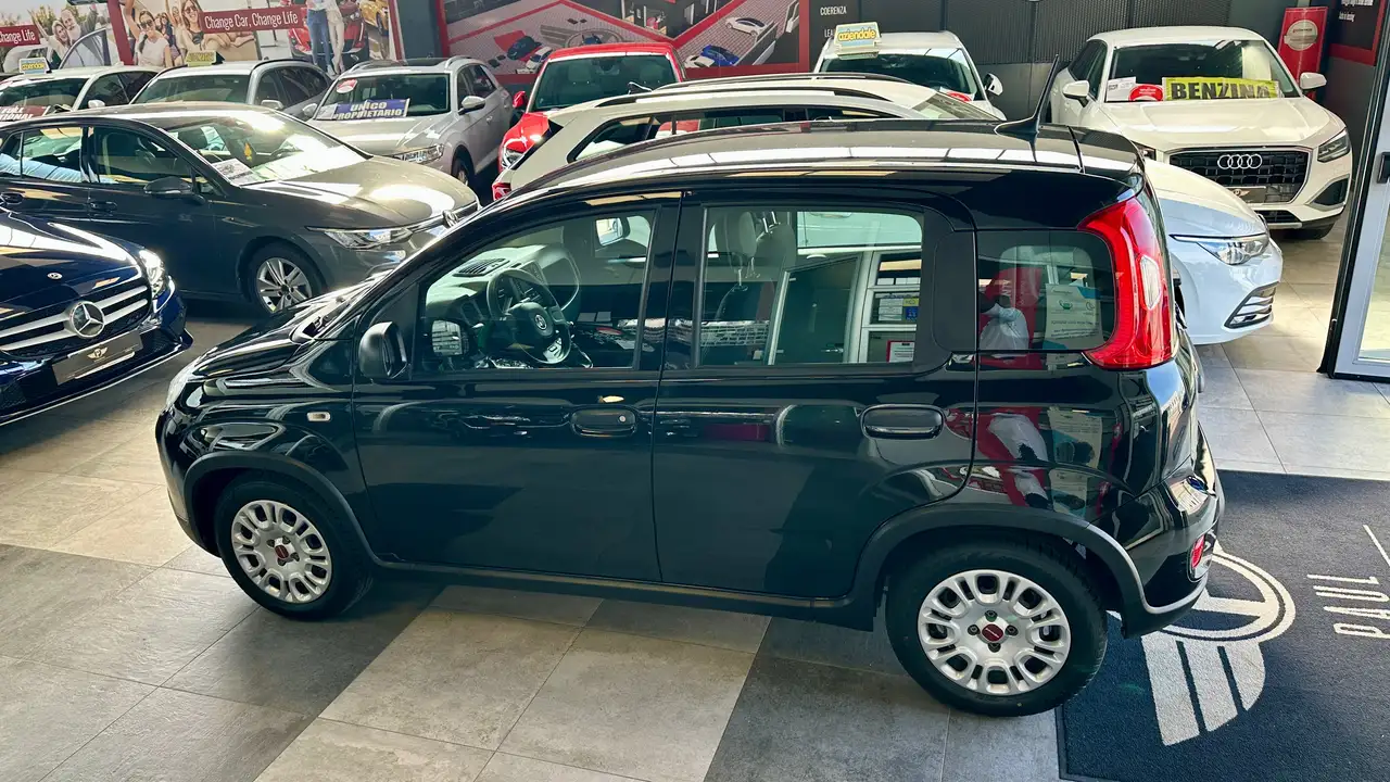 Fiat Panda III 1.0 firefly 70CV S&S Hybrid NEOPATENTATO PRONTA CONSEGNA, миниатюра 4