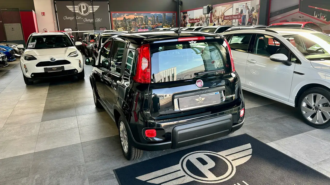 Fiat Panda III 1.0 firefly 70CV S&S Hybrid NEOPATENTATO PRONTA CONSEGNA, миниатюра 3