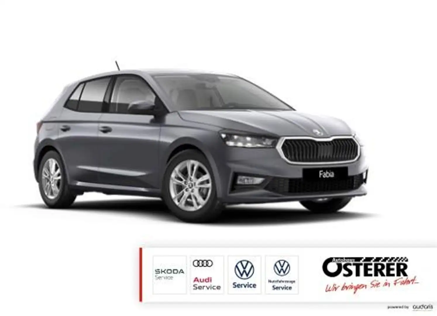 Skoda Fabia 1.0 TSI-130 Jahre Edition-5 Jahre Garantie-LED Sch Gris - 1