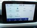 Ford Focus 1.5 EcoBlue 120 CV automatico SW Business Co-Pilot Bianco - thumbnail 8