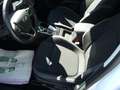 Ford Focus 1.5 EcoBlue 120 CV automatico SW Business Co-Pilot Bianco - thumbnail 5