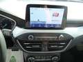Ford Focus 1.5 EcoBlue 120 CV automatico SW Business Co-Pilot Bianco - thumbnail 13