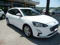Ford Focus 1.5 EcoBlue 120 CV automatico SW Business Co-Pilot Bianco - thumbnail 4