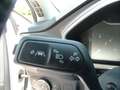 Ford Focus 1.5 EcoBlue 120 CV automatico SW Business Co-Pilot Bianco - thumbnail 9