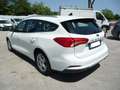Ford Focus 1.5 EcoBlue 120 CV automatico SW Business Co-Pilot Bianco - thumbnail 2