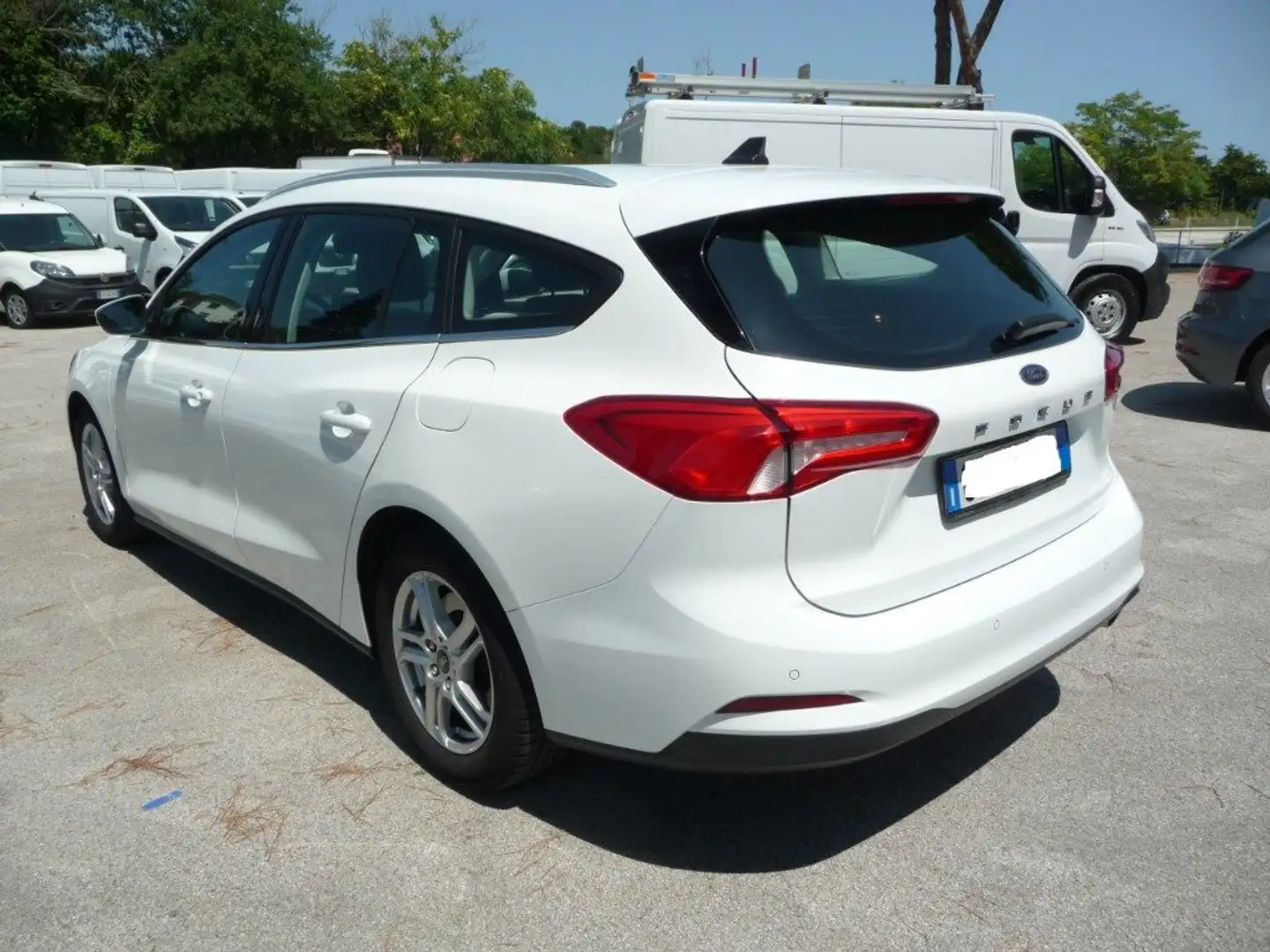 Ford Focus 1.5 EcoBlue 120 CV automatico SW Business Co-Pilot Bianco - 2