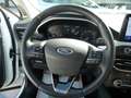 Ford Focus 1.5 EcoBlue 120 CV automatico SW Business Co-Pilot Bianco - thumbnail 12