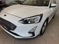 Ford Focus Focus 1.5 EcoBlue 120 CV SW Business Blanc - thumbnail 5