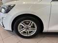 Ford Focus Focus 1.5 EcoBlue 120 CV SW Business Blanc - thumbnail 6