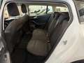 Ford Focus Focus 1.5 EcoBlue 120 CV SW Business Blanc - thumbnail 16