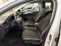 Ford Focus Focus 1.5 EcoBlue 120 CV SW Business Blanc - thumbnail 8