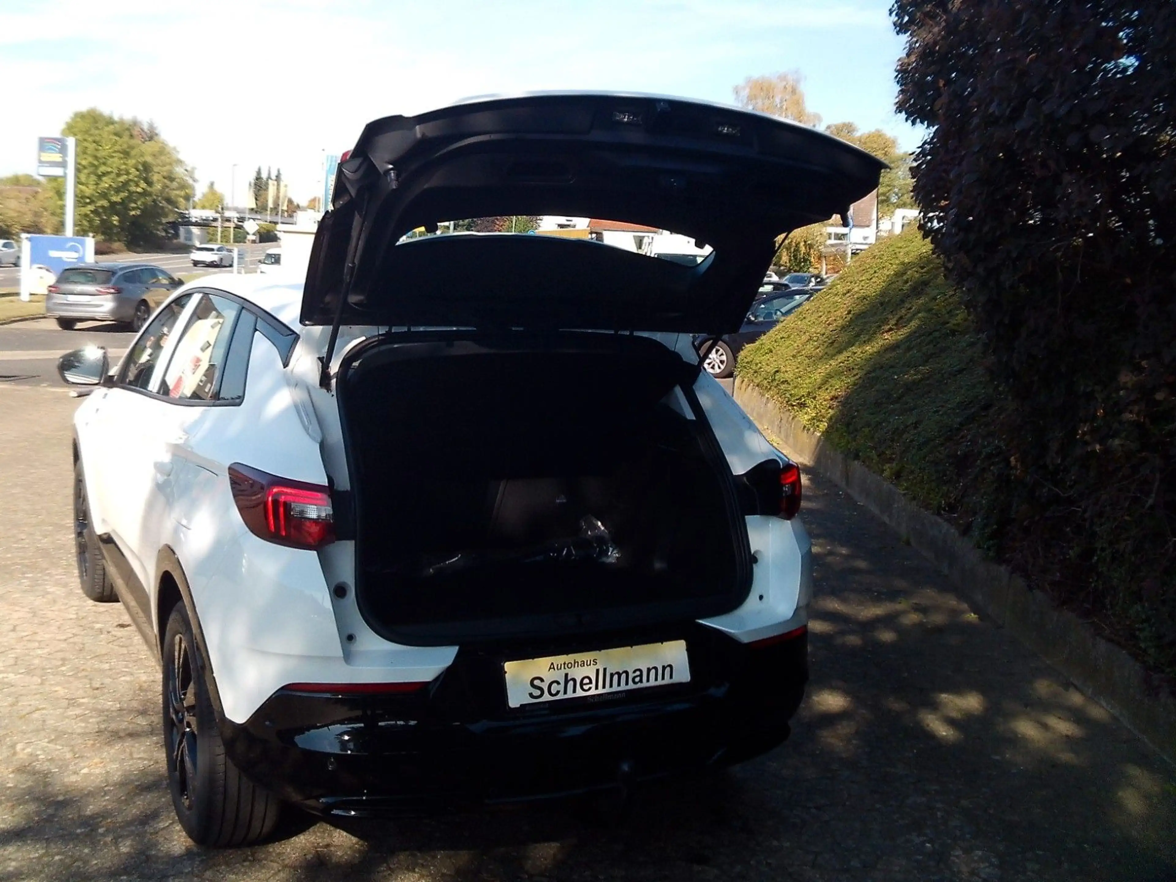 Opel Grandland X Grandland 1.6 PlugInHybrid SHZ LHZ FSHZ Kam AHK — photo 11