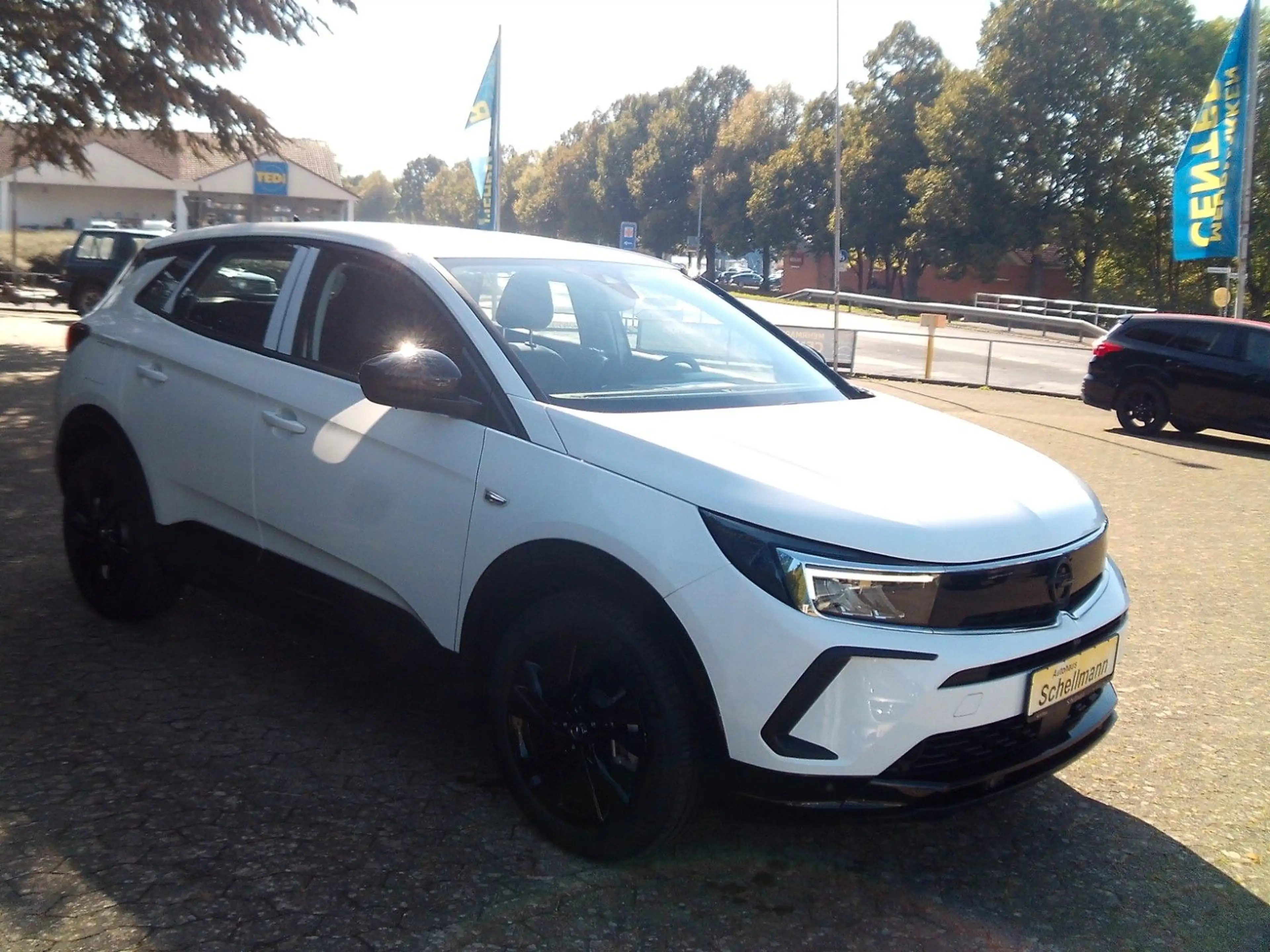 Opel Grandland X Grandland 1.6 PlugInHybrid SHZ LHZ FSHZ Kam AHK — photo 4