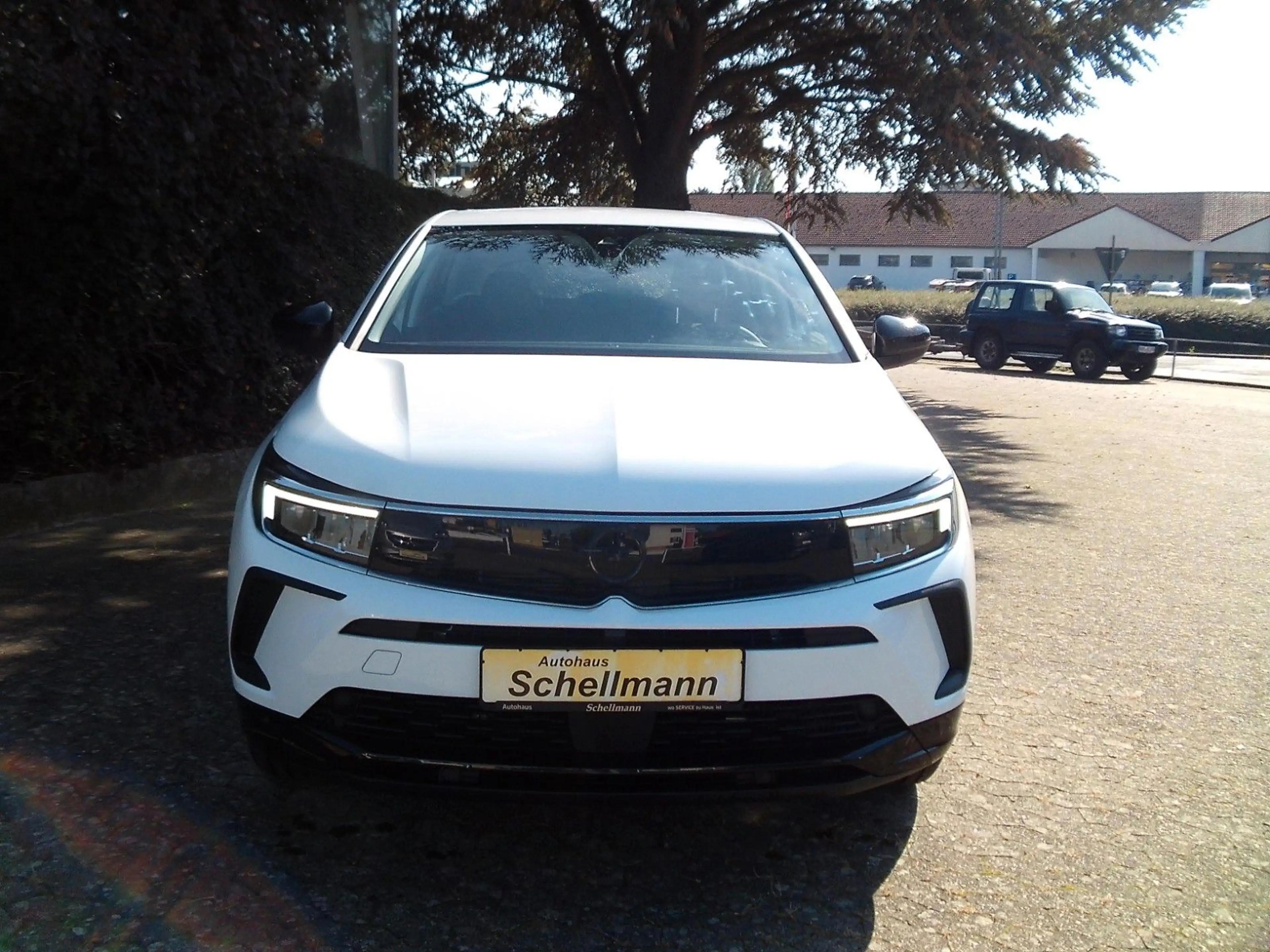 Opel Grandland X Grandland 1.6 PlugInHybrid SHZ LHZ FSHZ Kam AHK — photo 3