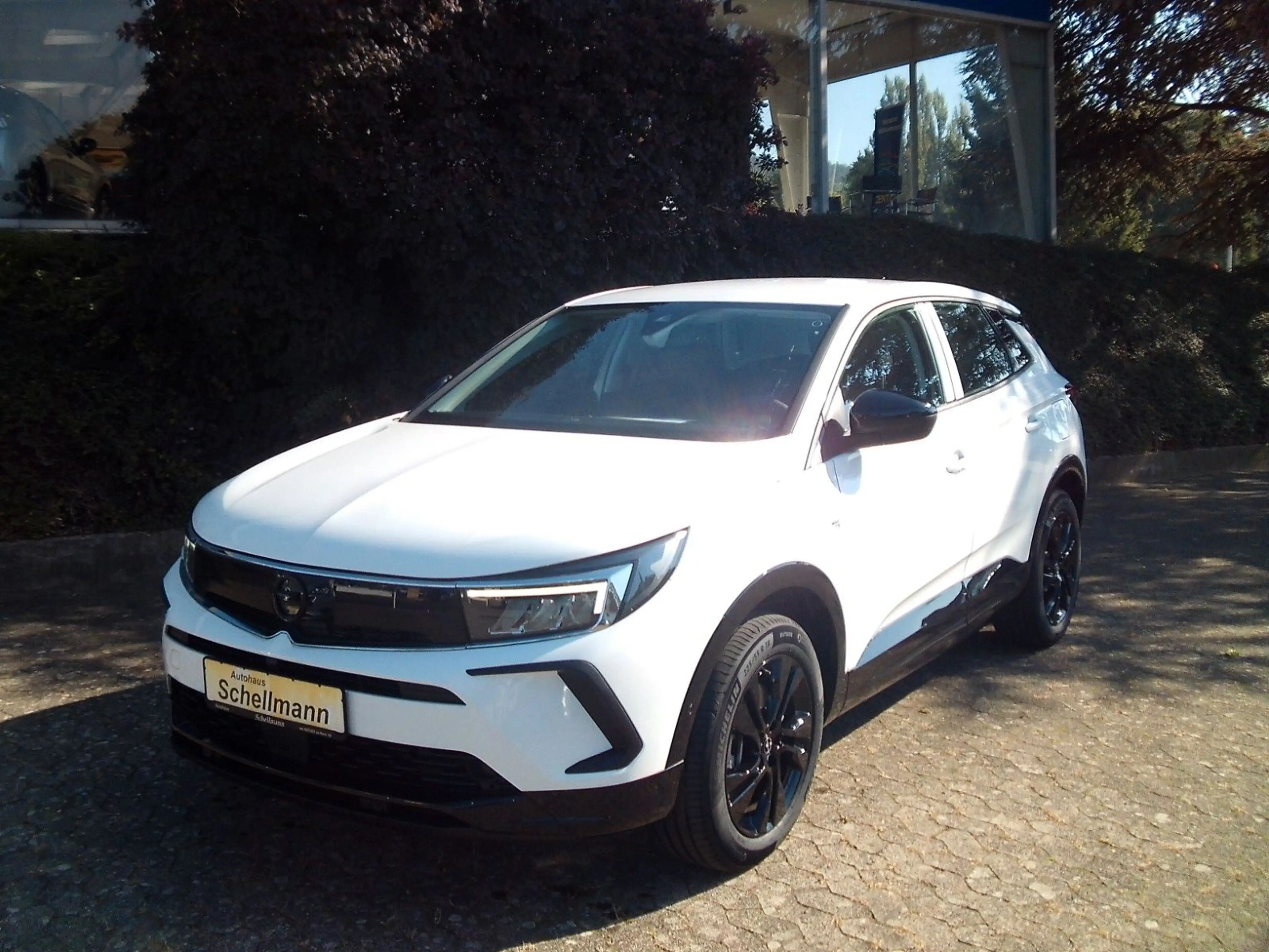 Opel Grandland X Grandland 1.6 PlugInHybrid SHZ LHZ FSHZ Kam AHK — photo 2