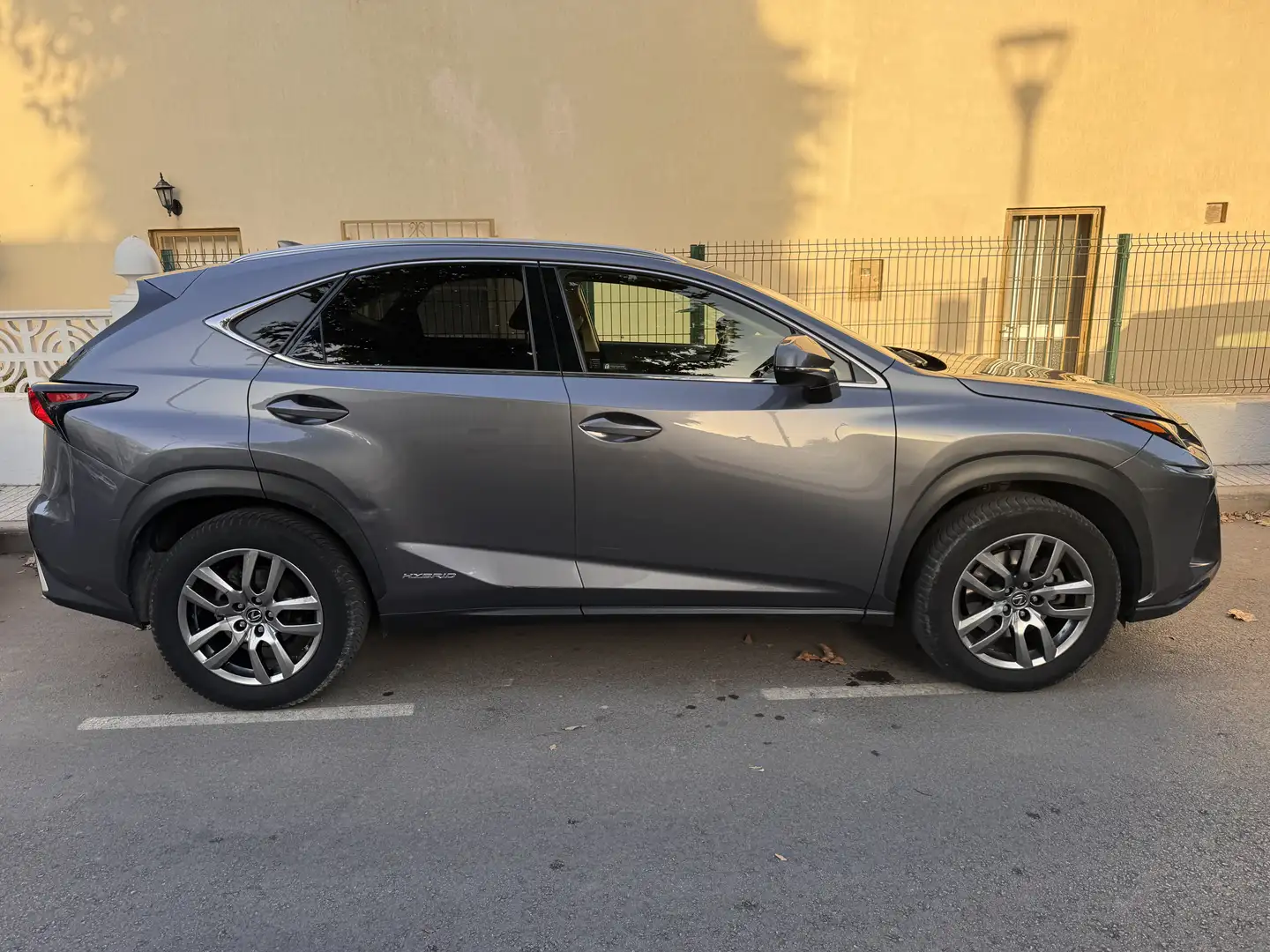 Lexus NX 300 Executive 4WD Gris - 2