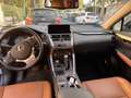 Lexus NX 300 Executive 4WD Gris - thumbnail 11