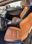 Lexus NX 300 Executive 4WD Gris - thumbnail 9