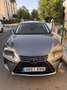 Lexus NX 300 Executive 4WD Gris - thumbnail 1