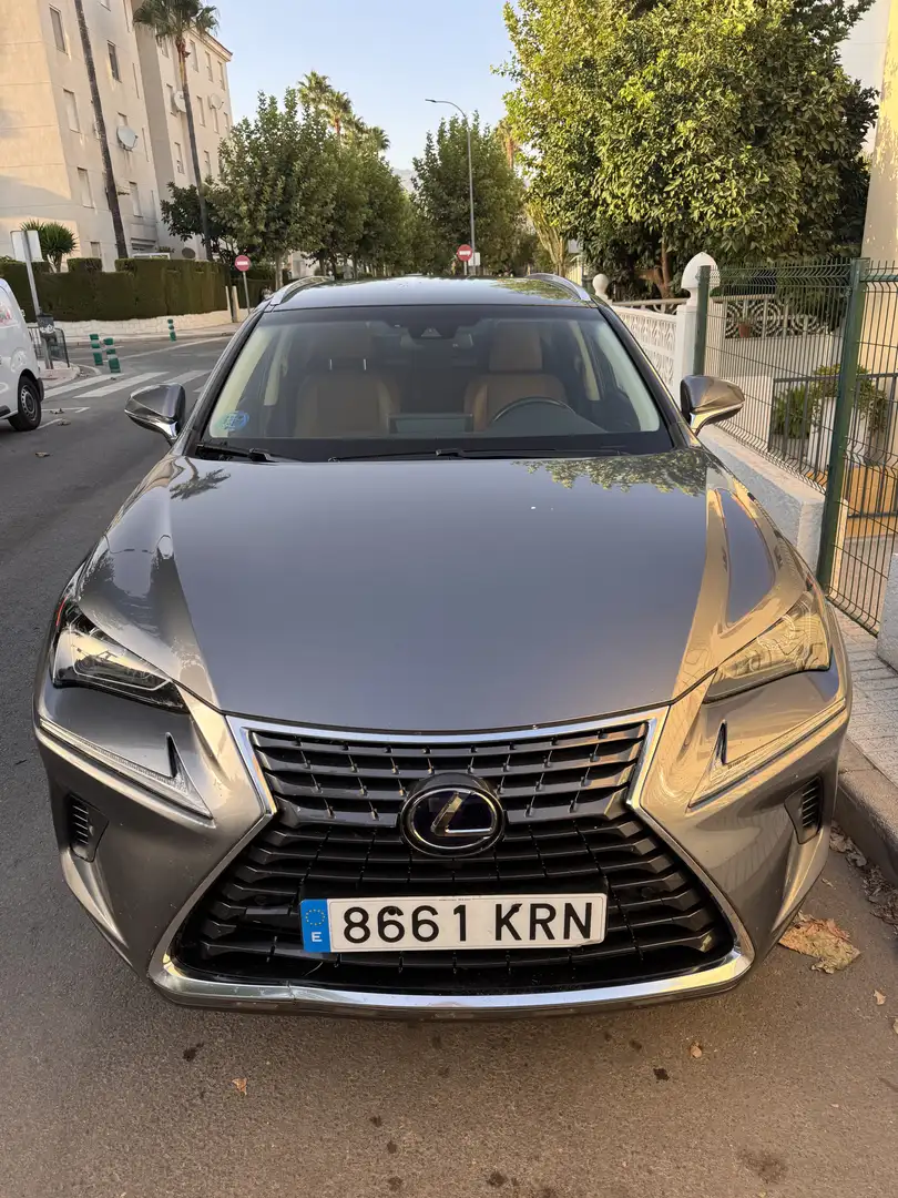 Lexus NX 300 Executive 4WD Gris - 1
