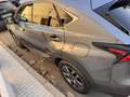 Lexus NX 300 Executive 4WD Gris - thumbnail 7