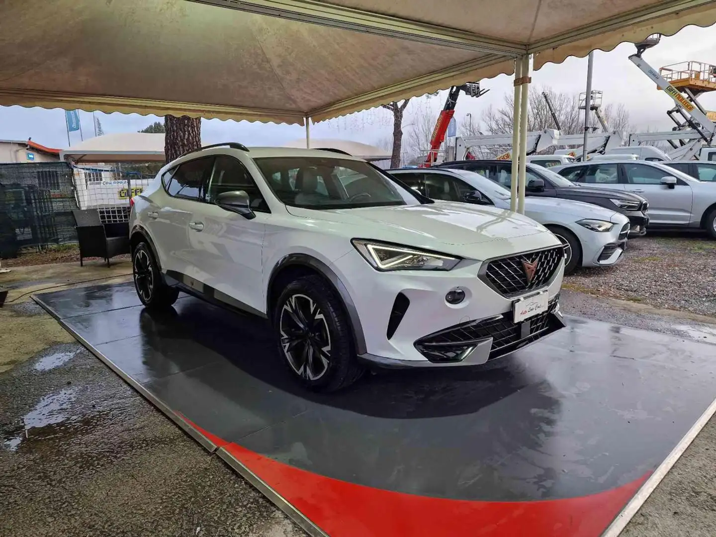 CUPRA Formentor 2.0 TDI 4Drive DSG +TELECAMERA POST Bianco - 1