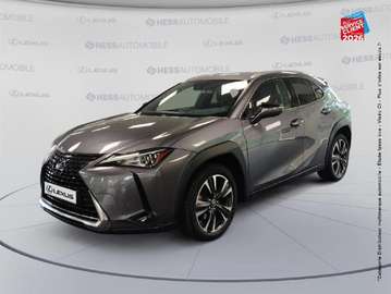 250h 2WD Premium Edition MY21
