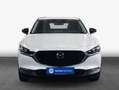 Mazda CX-30 e-SKYACTIVE G 140 HOMURA 103 kW, 5-türig Weiß - thumbnail 3