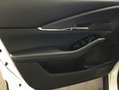 Mazda CX-30 e-SKYACTIVE G 140 HOMURA 103 kW, 5-türig Weiß - thumbnail 12
