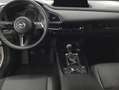 Mazda CX-30 e-SKYACTIVE G 140 HOMURA 103 kW, 5-türig Weiß - thumbnail 8