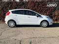 Ford Fiesta 1.4 5 porte Bz.- GPL Titanium Bianco - thumbnail 8