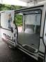Renault Trafic II Kasten L1H1 Klima Kamera PDC SHZ alles neu Weiß - thumbnail 2