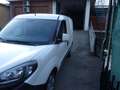 Fiat Doblo 1.3 SX MJT 95 CV KM.60.830 3 POSTI PRONTACONSEGNA Wit - thumbnail 8