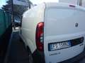 Fiat Doblo 1.3 SX MJT 95 CV KM.60.830 3 POSTI PRONTACONSEGNA Blanc - thumbnail 16