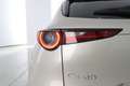 Mazda CX-30 e-Skyactiv-G M Hybrid 2WD 140cv Homura Beige - thumbnail 12