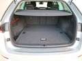 Skoda Octavia 4x4 Ambition TDI DSG Silber - thumbnail 11