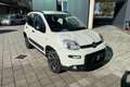 Fiat Panda Panda 0.9 TwinAir Turbo Natural Power City Life Blanc - thumbnail 10