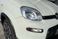 Fiat Panda Panda 0.9 TwinAir Turbo Natural Power City Life Blanc - thumbnail 9