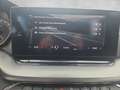 Skoda Octavia Combi Ambition Blau - thumbnail 15