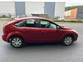 Ford Focus 1.4 Trendline LEUKE AUTO RIJDT EN SCHAKELT GOED Rood - thumbnail 5