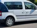 Volkswagen Caddy 2.0 TDI (5-Si.) Edition 30 Weiß - thumbnail 4