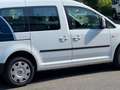 Volkswagen Caddy 2.0 TDI (5-Si.) Edition 30 Weiß - thumbnail 5