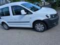 Volkswagen Caddy 2.0 TDI (5-Si.) Edition 30 Weiß - thumbnail 2
