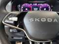 Skoda Karoq 2.0TDI AdBlue Sportline DSG 110kW Negro - thumbnail 10