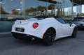 Alfa Romeo 4C Spider Vollausstattung Leder Carbon Klima Xenon Alb - thumbnail 4
