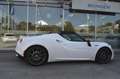 Alfa Romeo 4C Spider Vollausstattung Leder Carbon Klima Xenon Alb - thumbnail 8