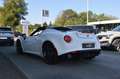Alfa Romeo 4C Spider Vollausstattung Leder Carbon Klima Xenon Alb - thumbnail 9