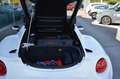 Alfa Romeo 4C Spider Vollausstattung Leder Carbon Klima Xenon Alb - thumbnail 15