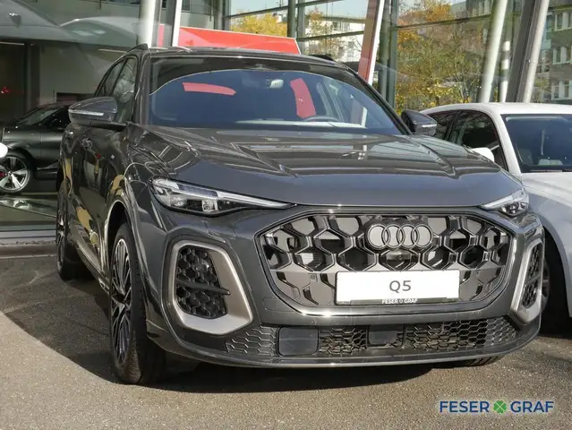 Audi Q5 view 2